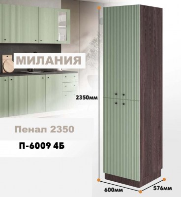 milaniia_p_6009 4b_9